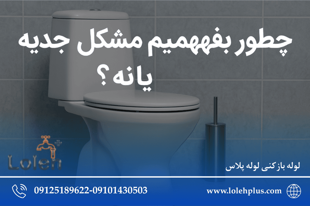وقتی توالت فرنگی آب نمی کشه اما گرفتگی نداره؛ بررسی همه دلایل پنهان و راه حل های قطعی