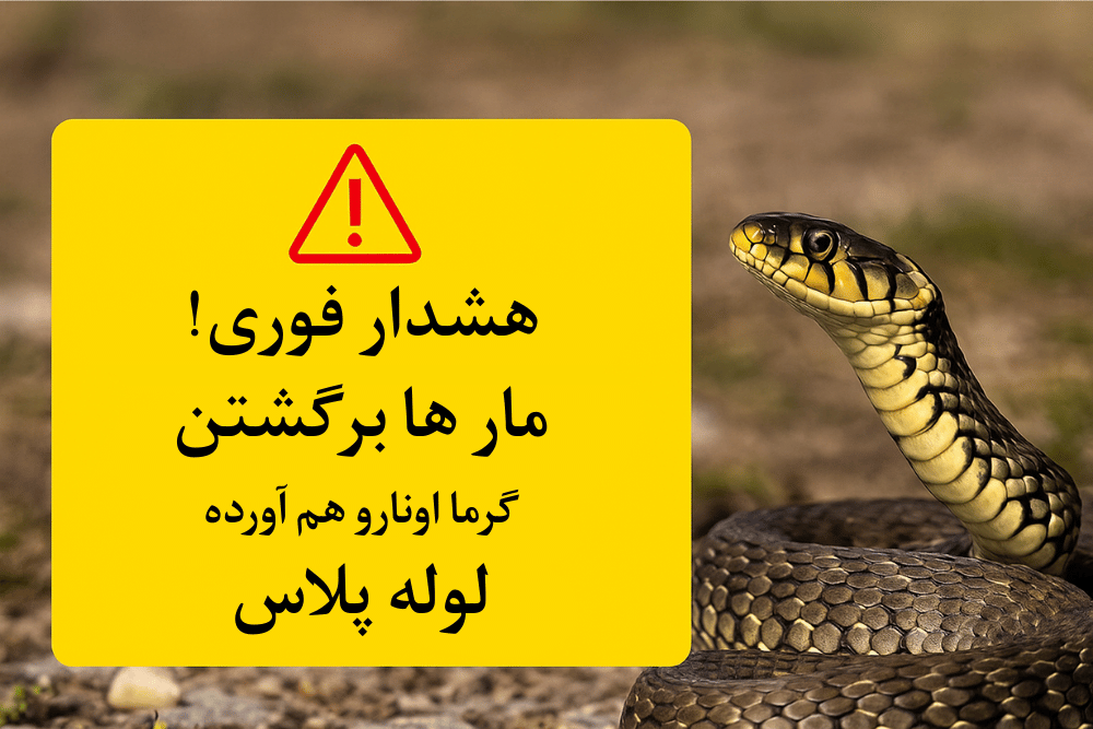 🐍 هشدار فوری: مارها برگشتن!