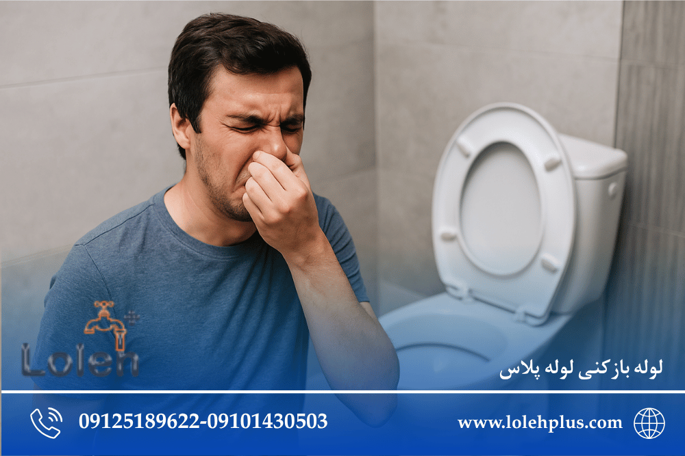 بوی عجیب از چاه توالت میاد ولی آب هم خوب می ره؟ دلیلش اینجاست!