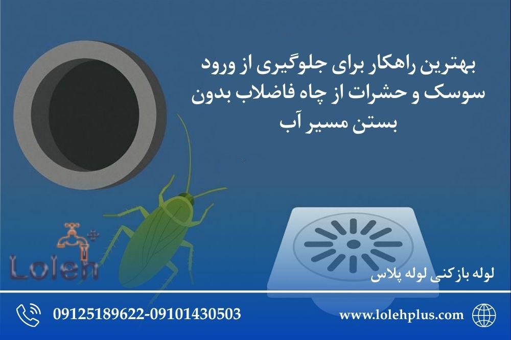 بهترین راهکار برای جلوگیری از ورود سوسک و حشرات از چاه فاضلاب بدون بستن مسیر آب