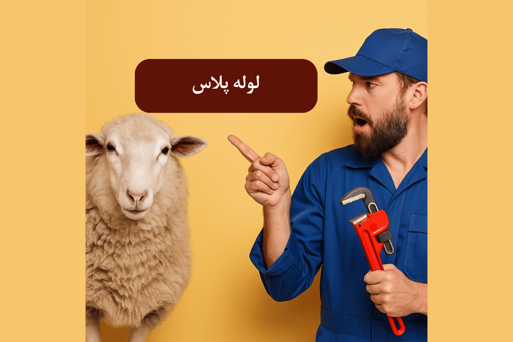 گوسفند قربونی بخری یا نه؟ قیمتش مشخص شد ، ولی یه چیزی مهم تره!