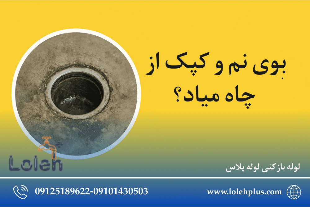 بوی نم و کپک از چاه میاد؟ دلایل عجیب این بوها